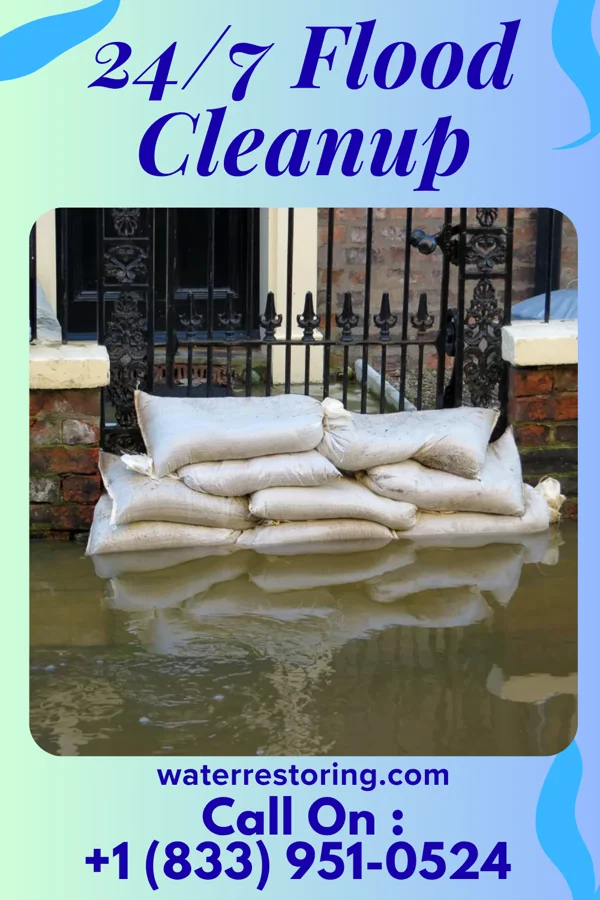 24/7 Flood Cleanup in Winona, MS