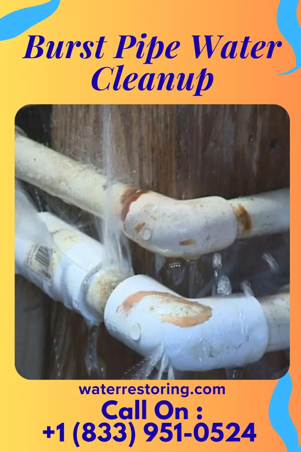 Burst Pipe Water Cleanup in Winona, MS