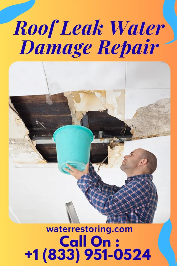 Roof Leak Water Damage Repair in Winona, MS