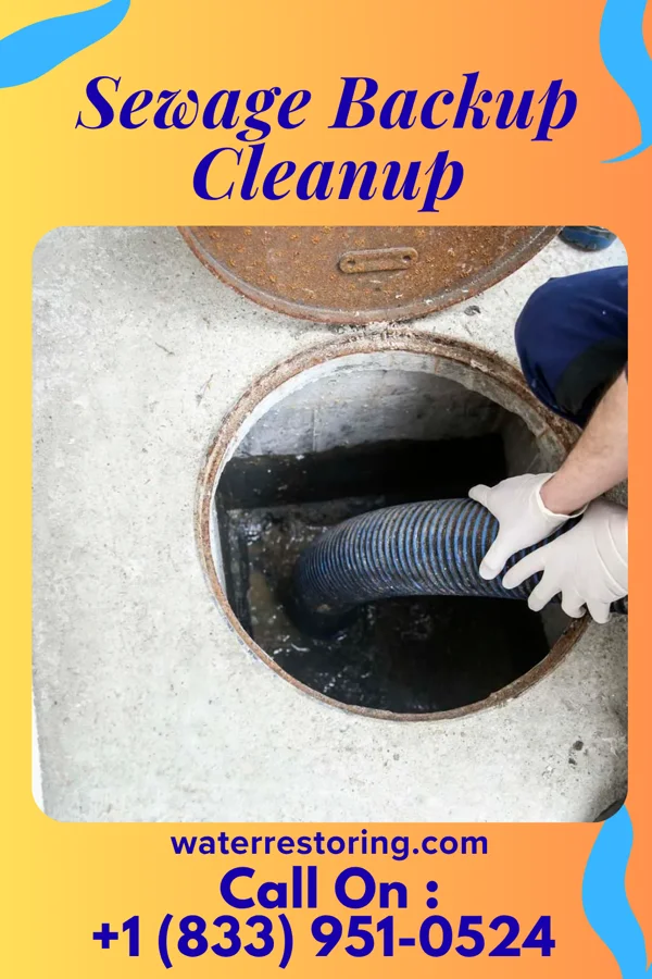 Sewage Backup Cleanup in Winona, MS