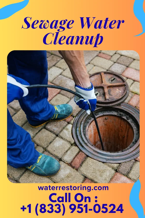 Sewage Water Cleanup in Winona, MS